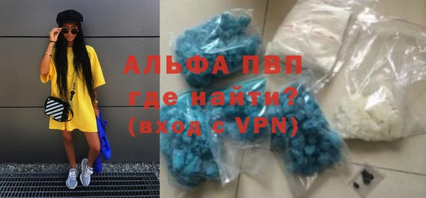 ПСИЛОЦИБИНОВЫЕ ГРИБЫ Бородино