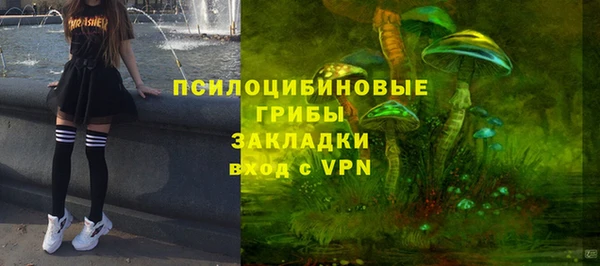 экстази Богородицк