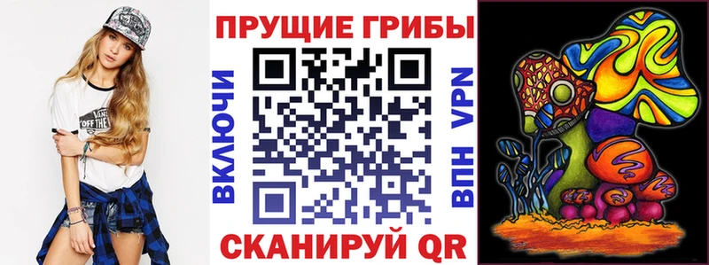 Псилоцибиновые грибы MAGIC MUSHROOMS Купить где Каргат