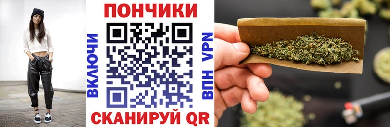 Конопля сатива  Купить  Каргат 